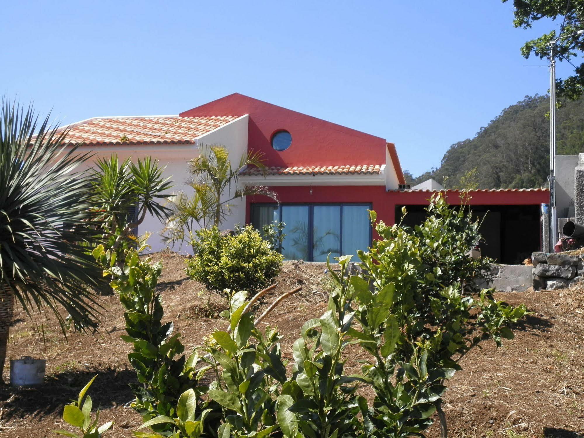 Villa Luz - Family House Vacations- Large Private Outdoor Area サンタ・クルーズ エクステリア 写真