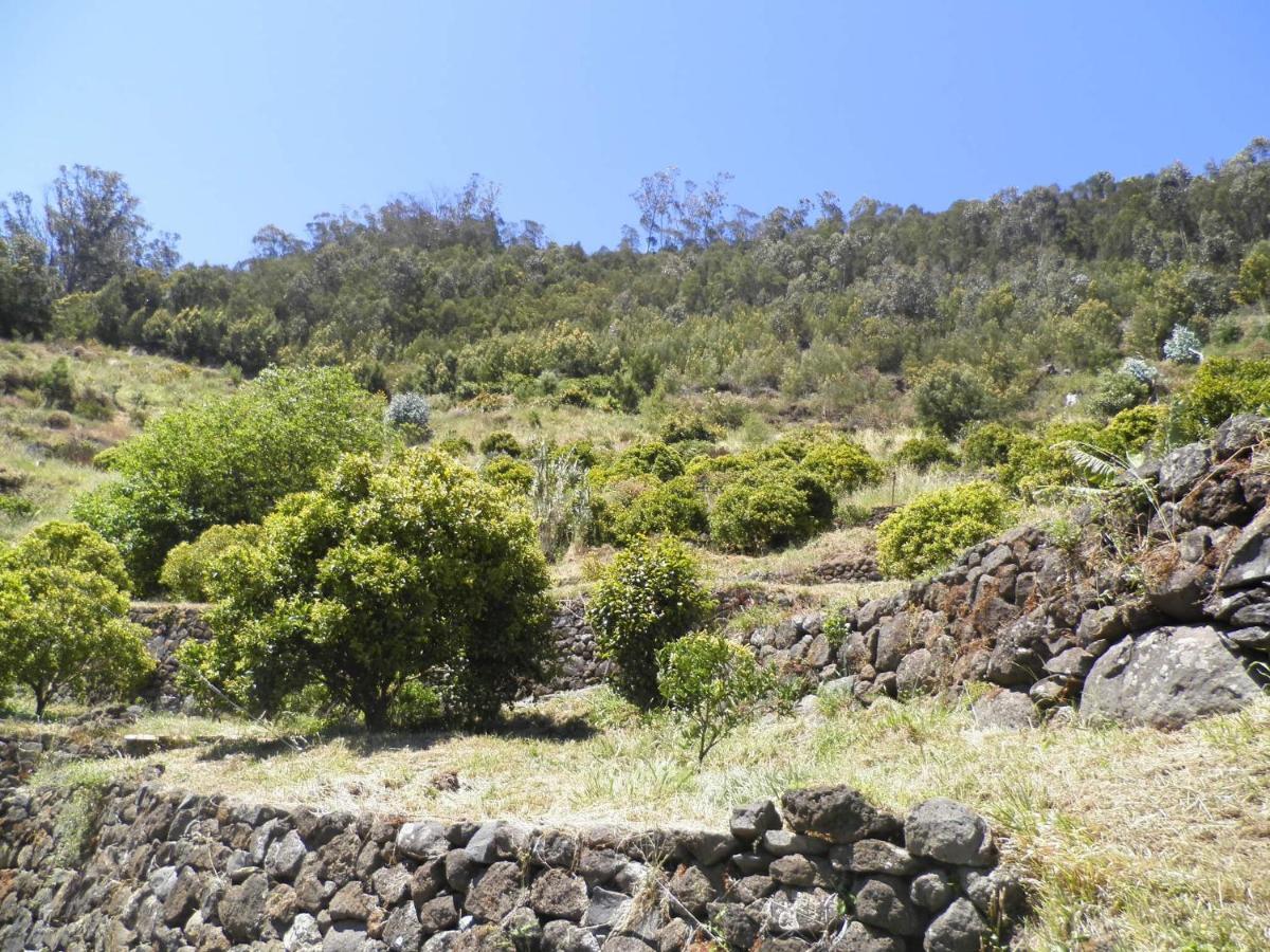 Villa Luz - Family House Vacations- Large Private Outdoor Area サンタ・クルーズ エクステリア 写真